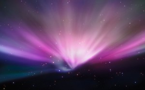 Leopard Wallpaper Aurora